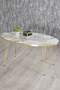 Gold Wire Zigon Coffee Table Set Ellipse