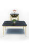 Square Gold Wire Double Gold Coffee Table Set