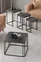 Alize Center and Zigon Coffee Table Set
