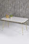 Square Gold Wire Double Gold Coffee Table Set
