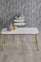 Gold Metal Double Gold Coffee Table Set Square