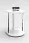 Wheeled Side Table Oval