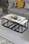 Flora Center and Zigon-Side Table Set