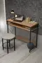 Computer Working Desk