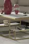 Delux Shelf Coffee Table
