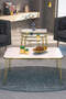 Square Gold Wire Double Gold Coffee Table Set