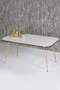 Gold Wire Double Gold Centre Coffee Table Square
