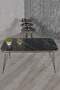 Black Wire Double Gold Coffee Table Set Square