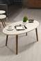 Ellipse Wooden Zigon Centre Coffee Table Set