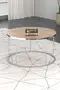 Coffee Table and Zigon Coffee Table Terra Set Silver