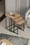 Alize Center and Zigon Coffee Table Set