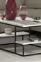 Delux Shelf Coffee Table