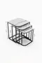 Damla Center and Zigon Coffee Table Set