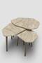 Trio 3 Wooden Zigon Coffee Table