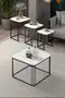 Alize Center and Zigon Coffee Table Set