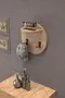 Coat Rack Hanger