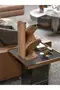 3 Shelf Desktop Bookcase