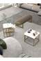 Damla Center and Zigon Coffee Table Set