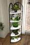 Bohemian Corner Flower Bed with 5 Shelves