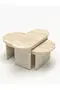 Setro 2 Piece Middle Coffee Table