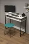 Computer Working Desk