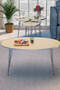 Silver Wire Coffee Table Set Ellipse