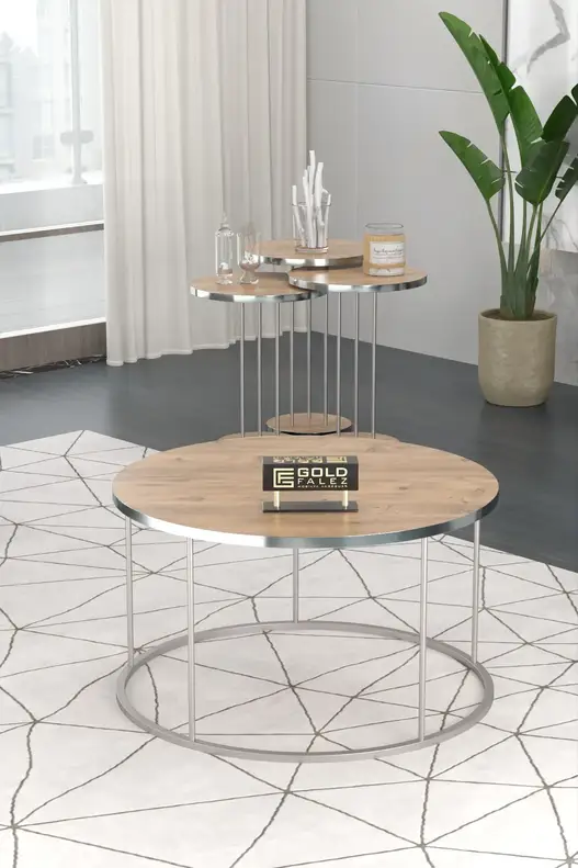 Coffee Table and Zigon Coffee Table Terra Set Silver Coffee Table and Zigon Coffee Table Terra Set Silver