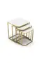 Damla Zigon Coffee Table