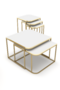 Damla Center and Zigon Coffee Table Set