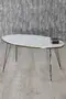 Black Wire Double Gold Centre Coffee Table Ellipse