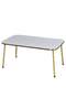 Gold Metal Double Gold Coffee Table Set Square